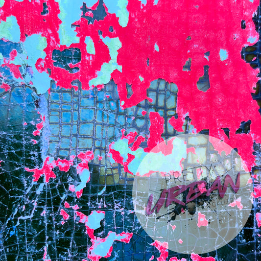 SHATTERED DREAMS